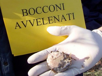 Bocconi-avvelenati.jpg
