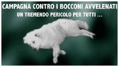 bocconi_2