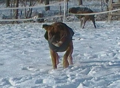 Ma Emma è vecchina, ha bisogno del cappotto