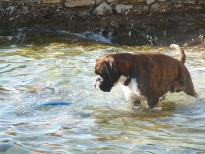 Vittorio al mare, 2006-2016