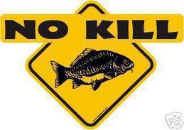 NoKill_pesca