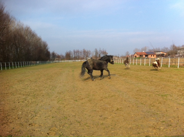 In corsa...Nina, Rosa e Piccola Maggy