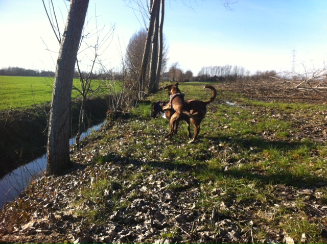 Vanda e il povero Vittorio