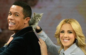 1390316828205animali_600