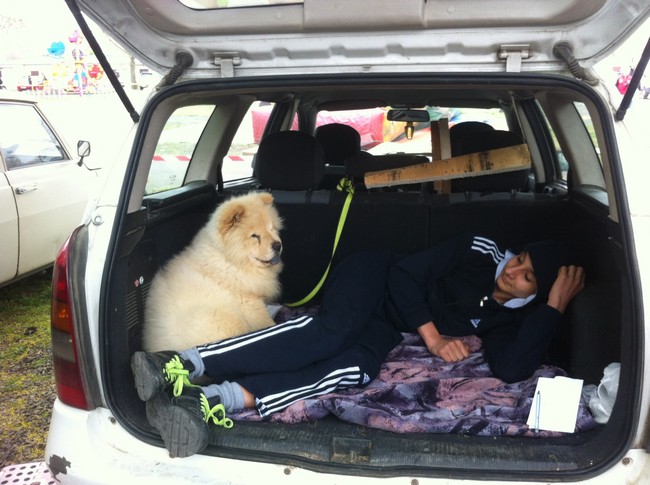 Al mercato dei cuccioli di Pecs