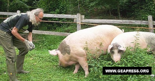 Marco e le nuove arrivate