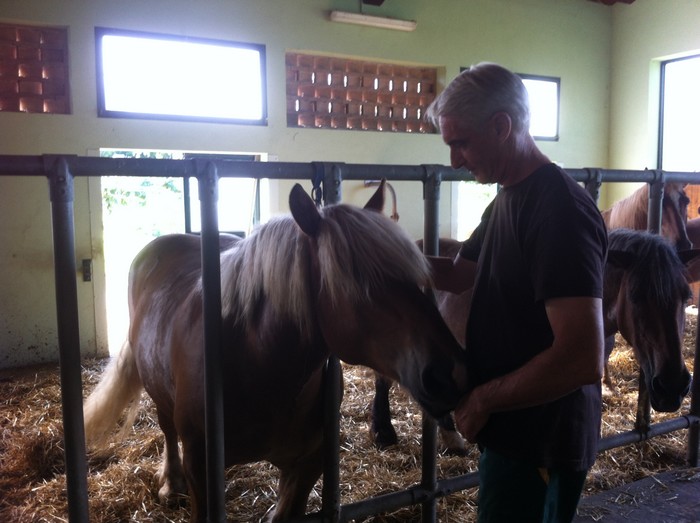 Albano Moscardo e Tenor