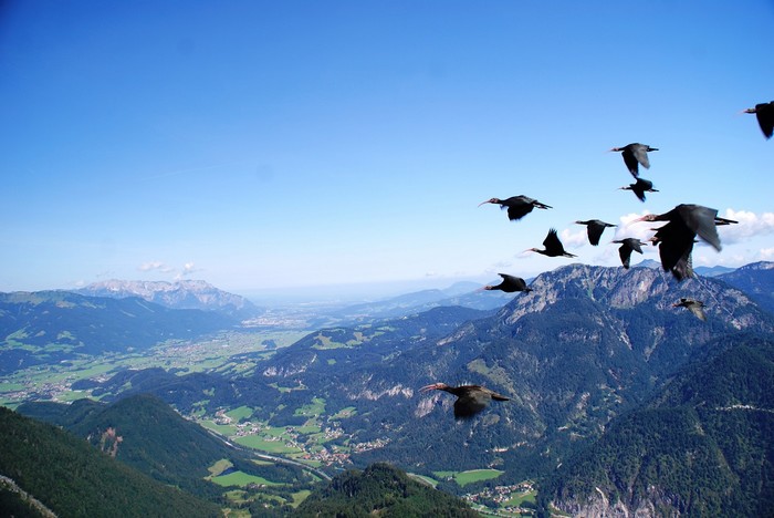 Picture exaple_small (5)