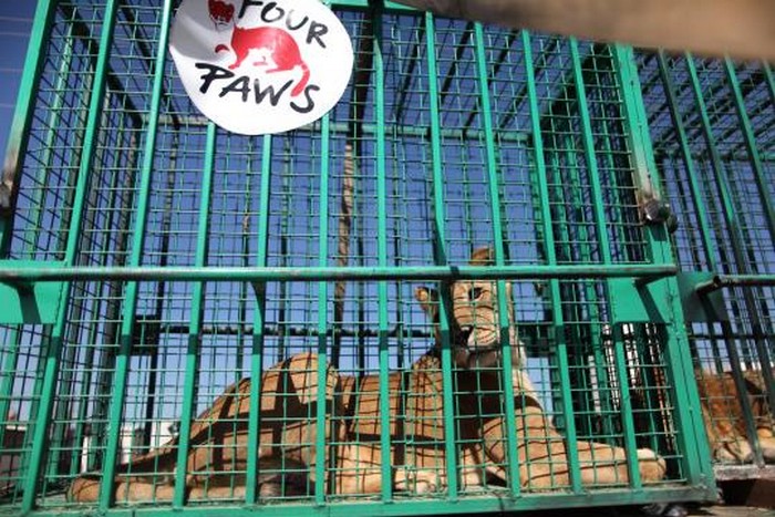 Partenza per la Giordania