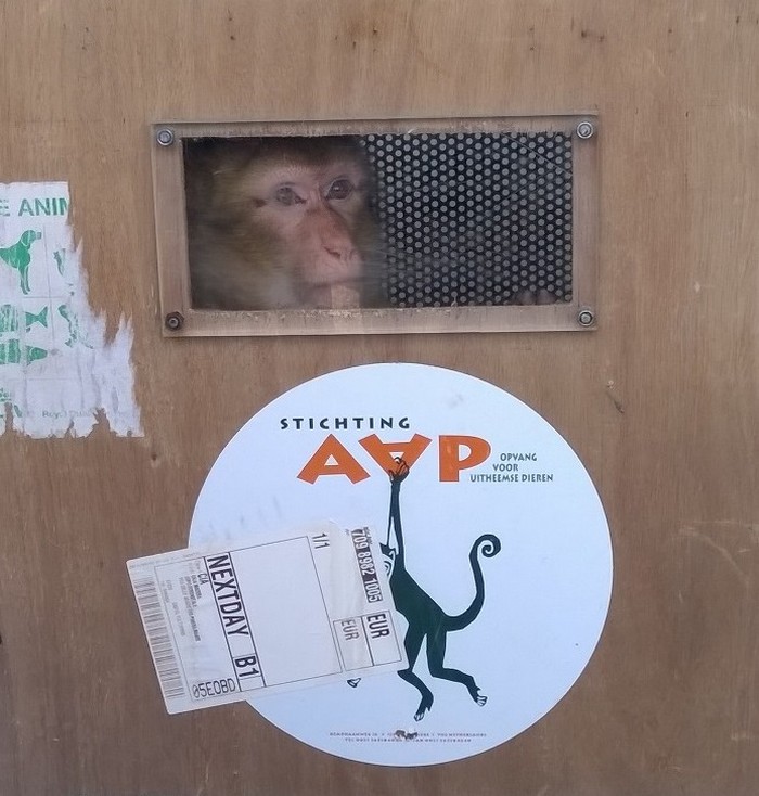 Alberta pronta al trasferimento in Spagna