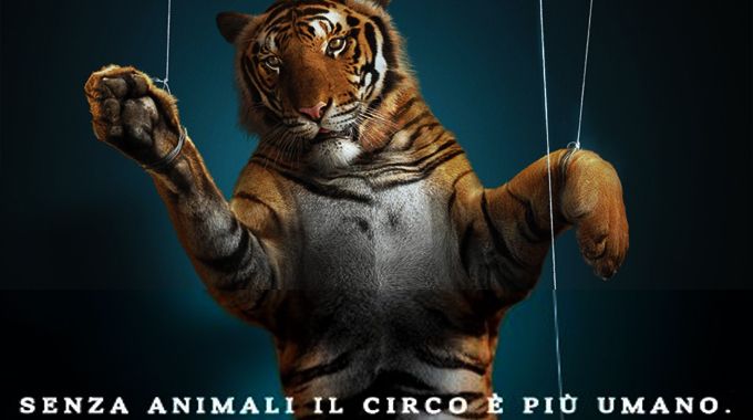 Circo_animali