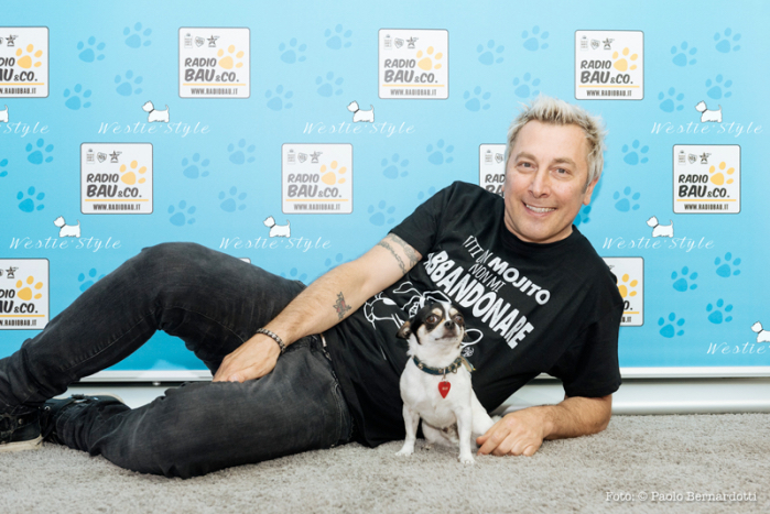 Ringo per Save the Dogs