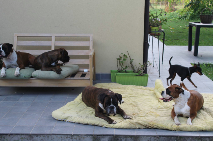 Pigiama party per Vittorio e Vanda  