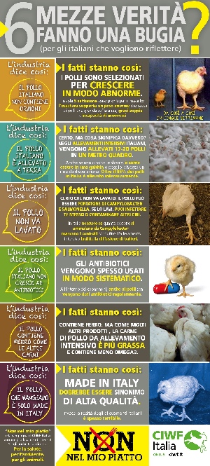 infograficaPolliCIWF