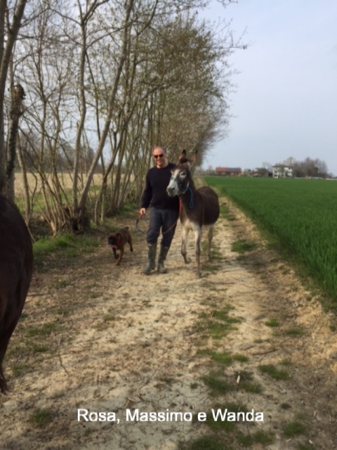 Massimo. Rosa e Wanda