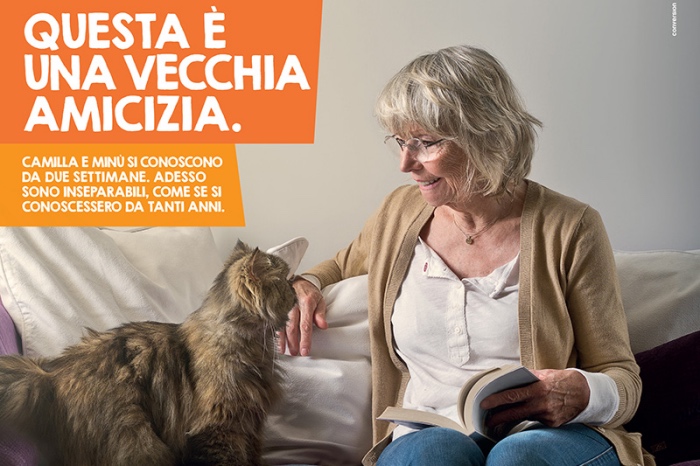 questa è una vecchia amicizia