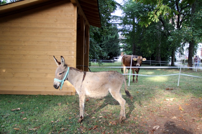 Toni e Ugola a Villa Manin