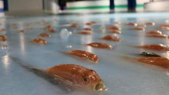 3eb6af3749066298f110441311106251