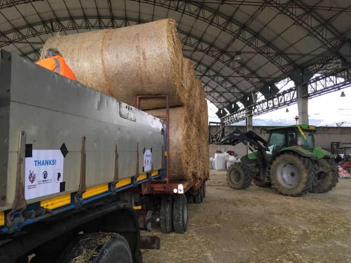 Il foraggio in partenza