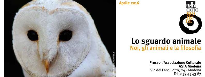 lo-sguardo-animale2016-3