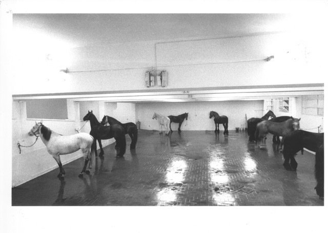 untitled_1969_12_horses-1600-xxx_q85