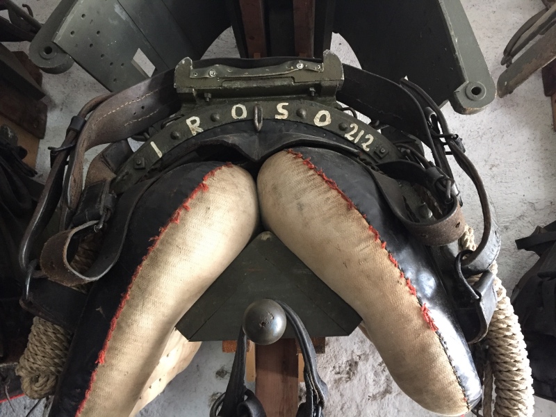 Il basto di Iroso: 25 chili vuoto