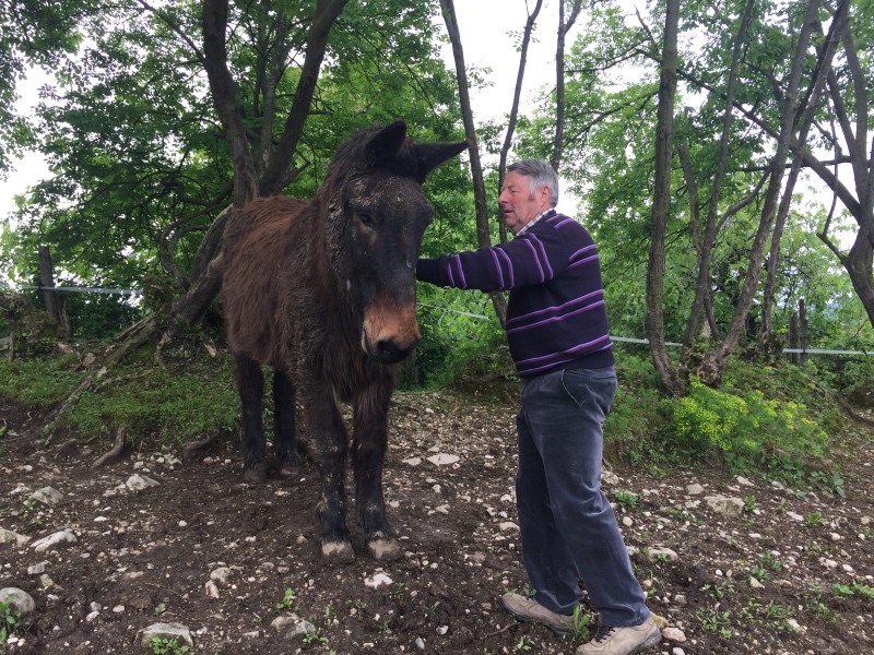 Iroso e Toni De Luca