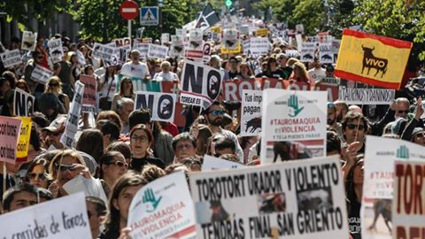 Una recente manifestazione a Madrid