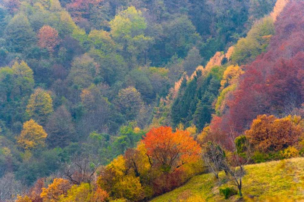 Il Cansiglio d'autunno (foto Proloco di Fregona)