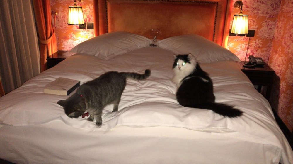 Kiki e Olga si sono subito sistemate sul lettone