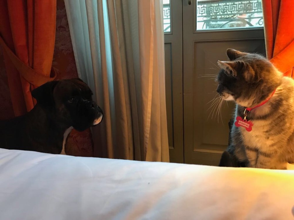 Io e Kiki in hotel a Patrasso