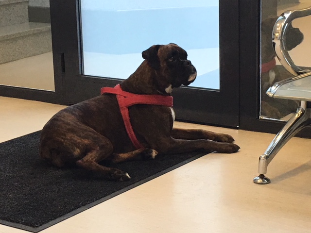 In attesa della risonanza...vorrei tornare subito a casa