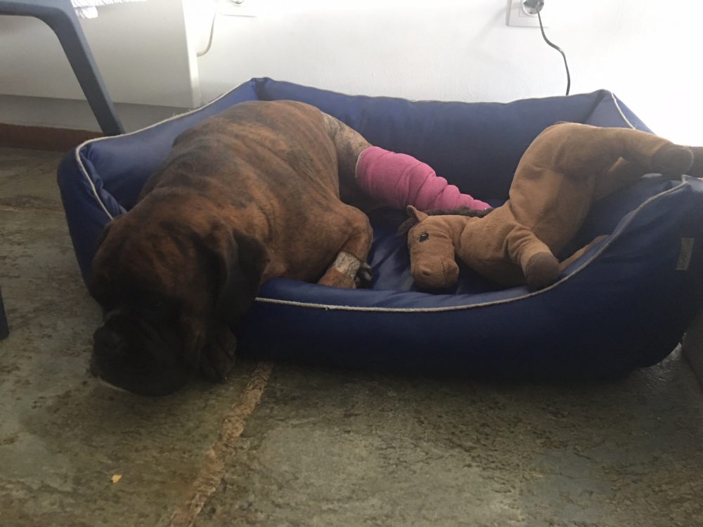 Molto offesa e annoiata