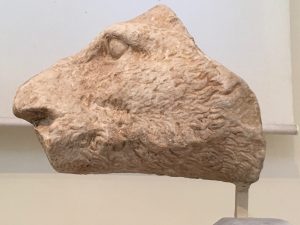 Testa di un cinghiale ritrovata nel tempio di Atena a Teges in Arkadia.