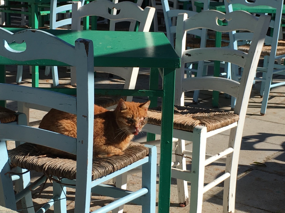 Questo è stato un incontro molto doloroso