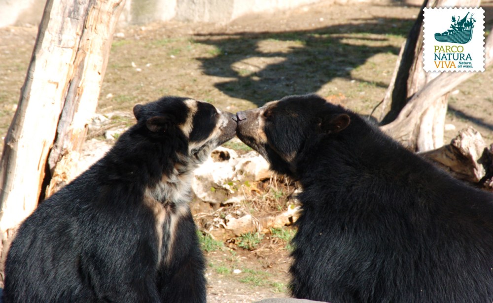 Luis e Bahia al Parco Natura Viva