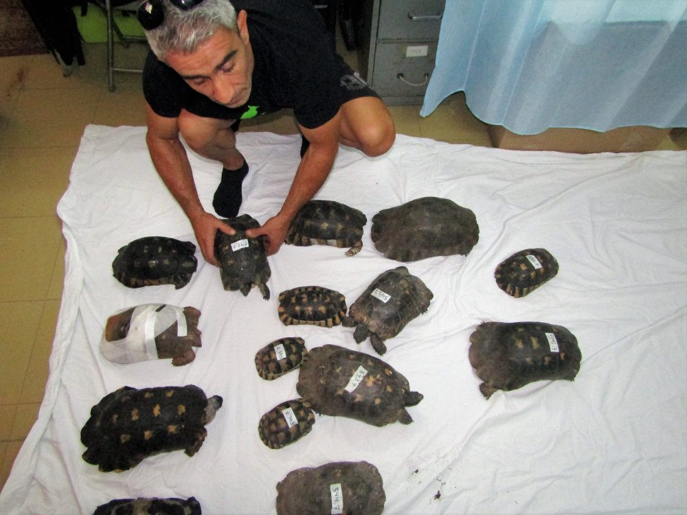 37800405_2127606977312534_5289127331669999616_o