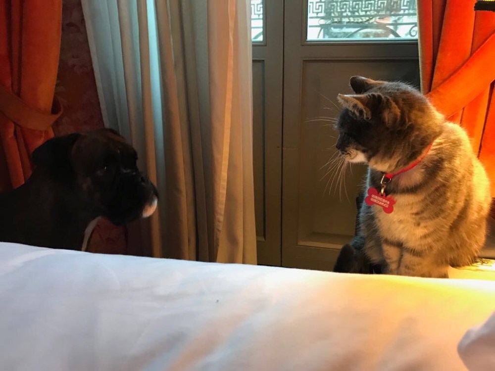 Kiki e Vanda in hotel