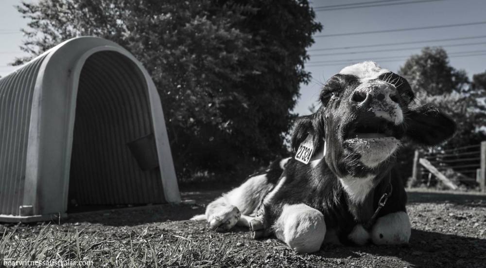 26173700_1941247369223143_7081278655229773413_o