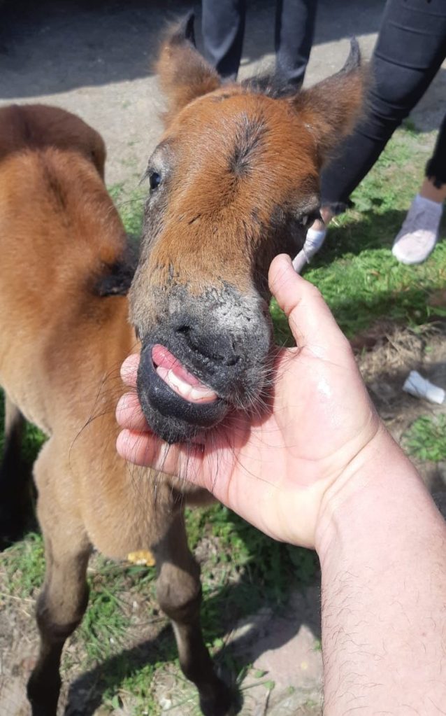 Emma bel musetto storto